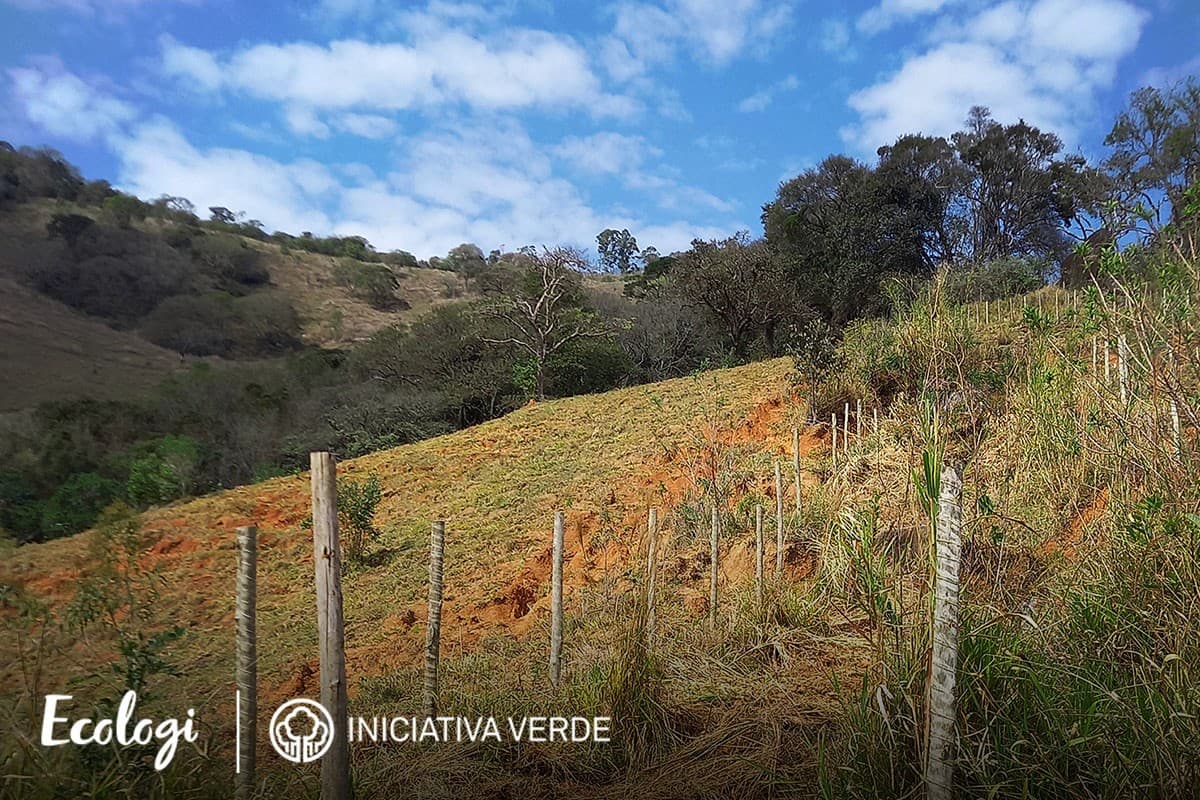Restoring degraded land in Brazil