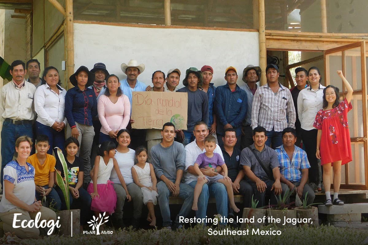 Reforesting the land of the Jaguar