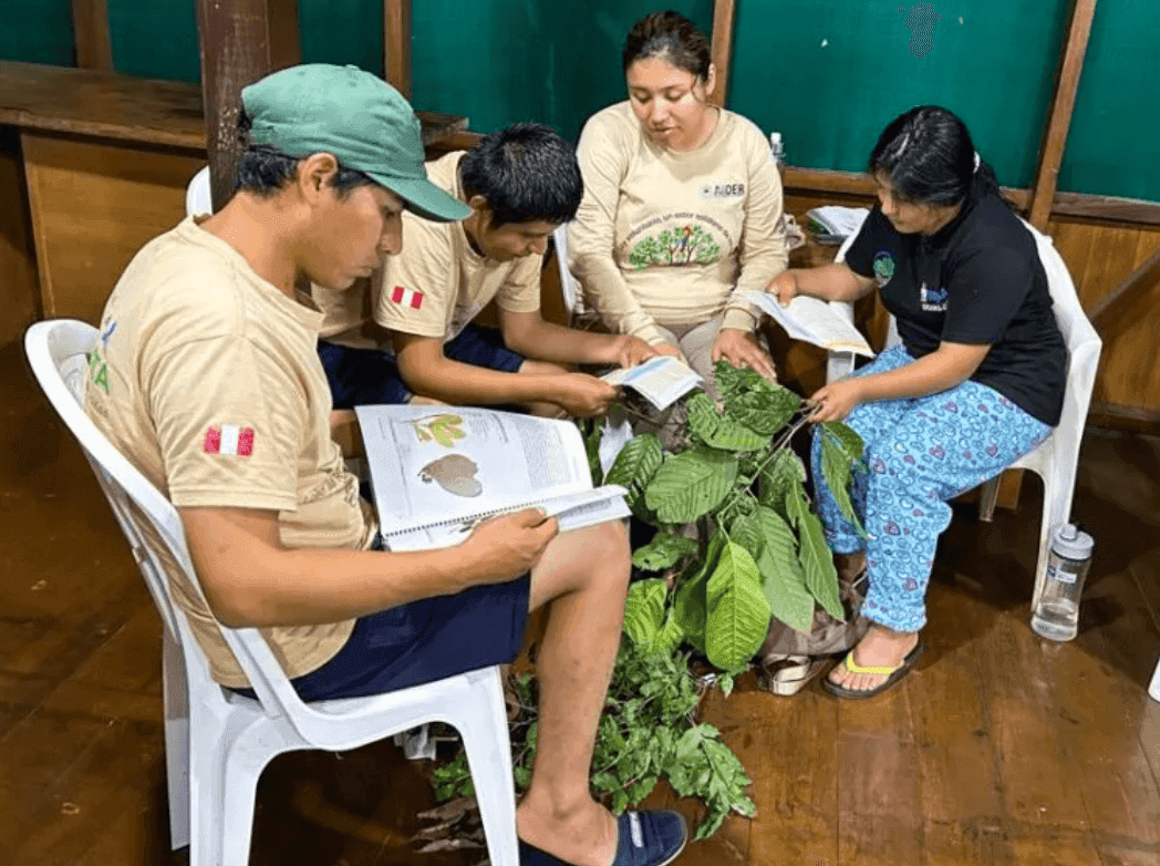 Monitoring Report 2025