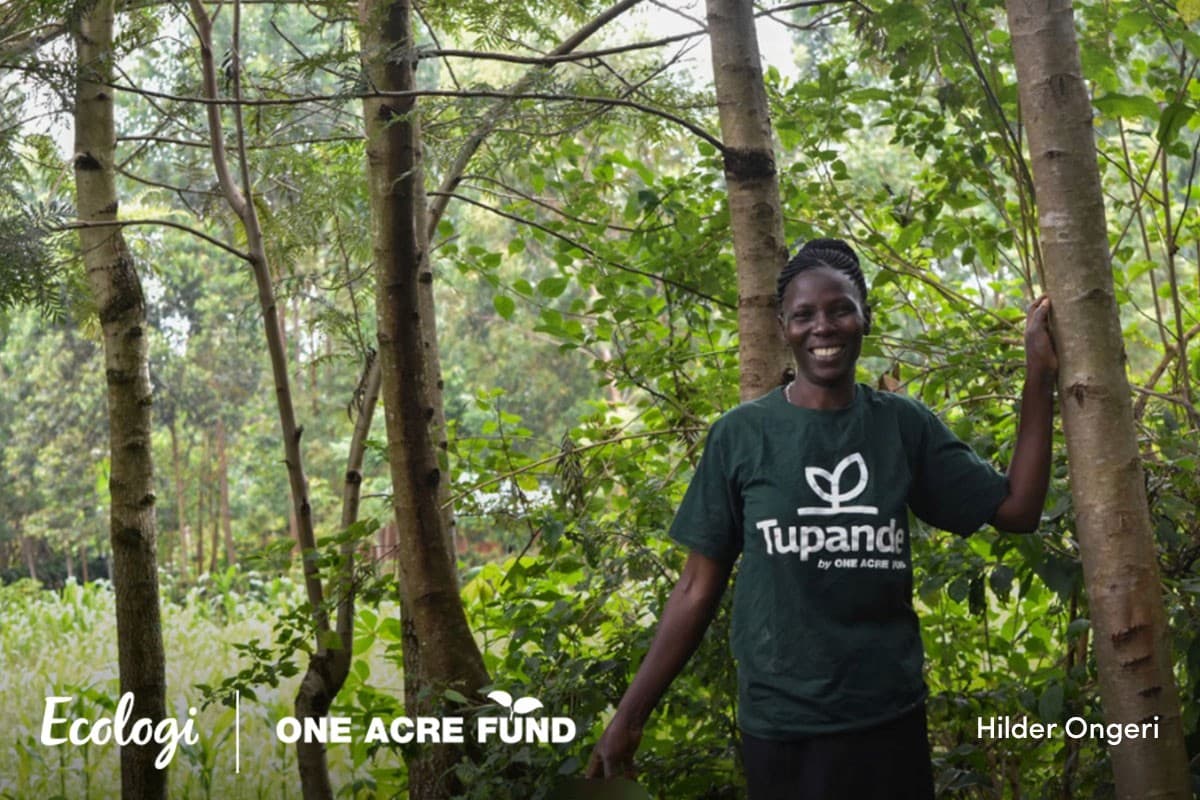 Agroforestry in Kenya