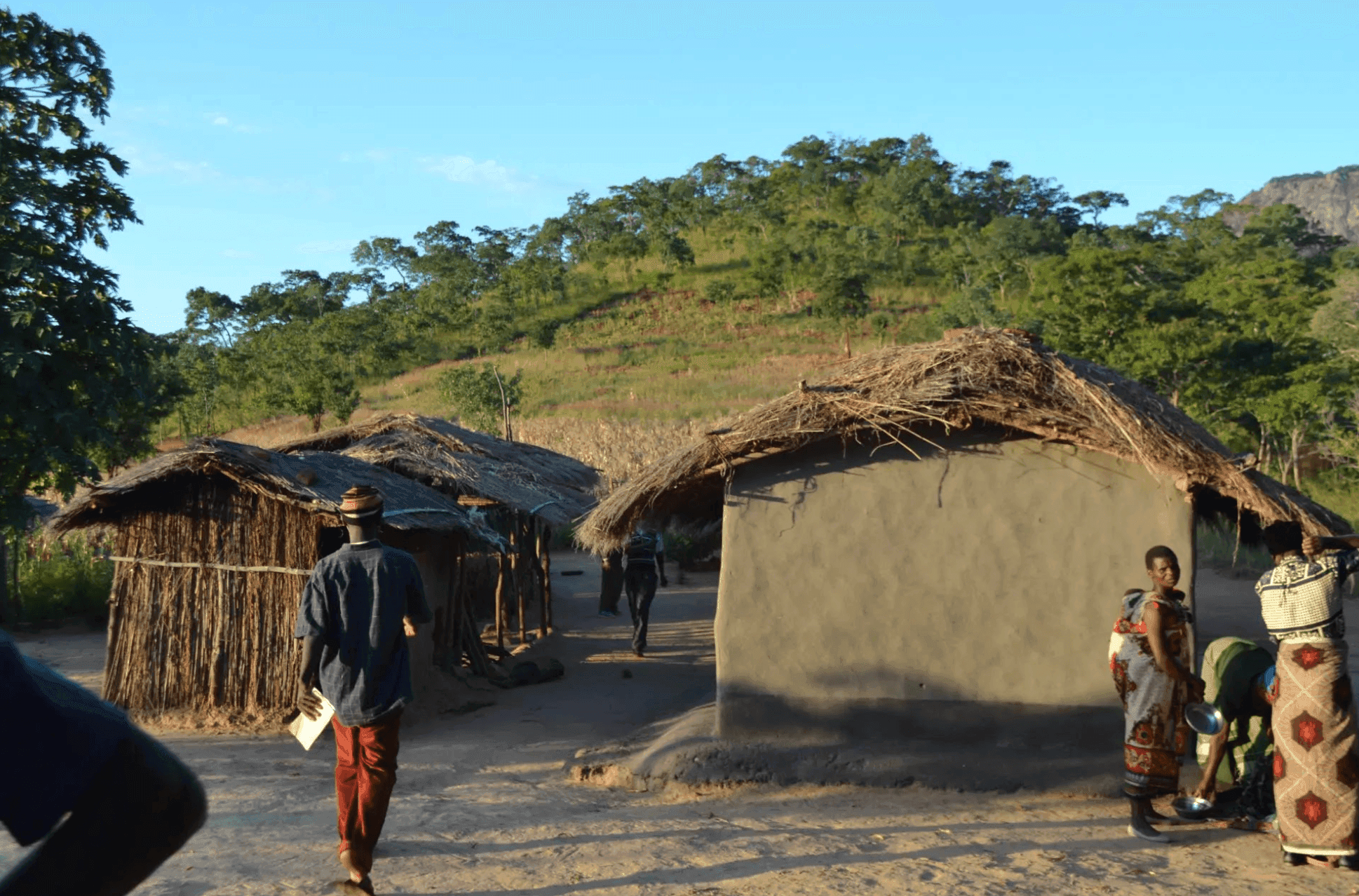 The Kulera Landscape REDD+ Program