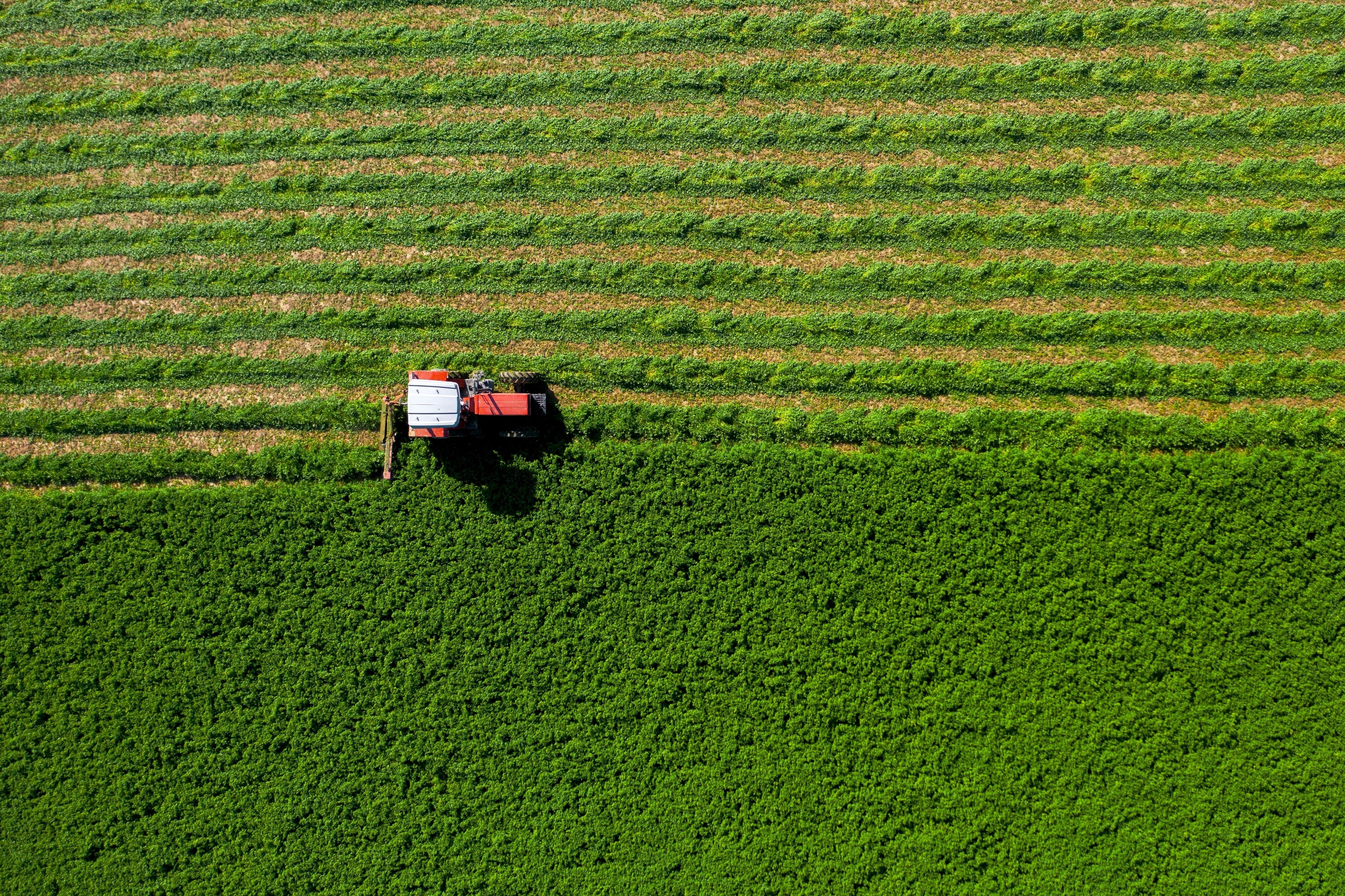 Regenerating agricultural land to remove carbon