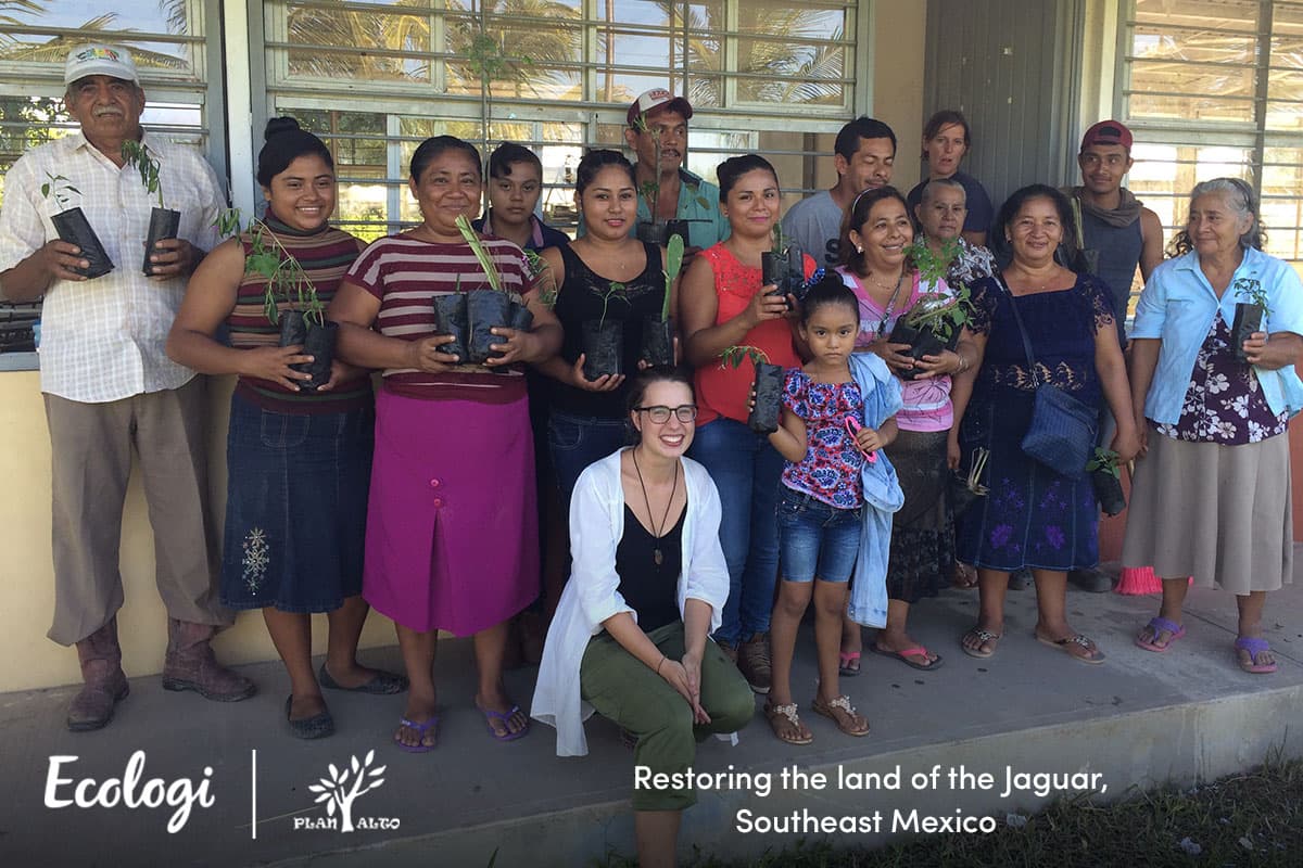 Reforesting the land of the Jaguar