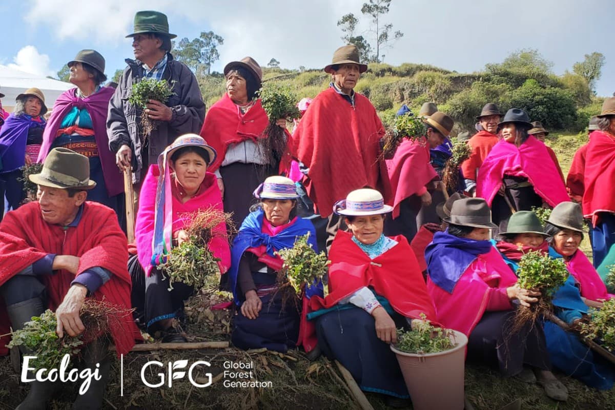 Restoring native Polylepis forests in the high Andes