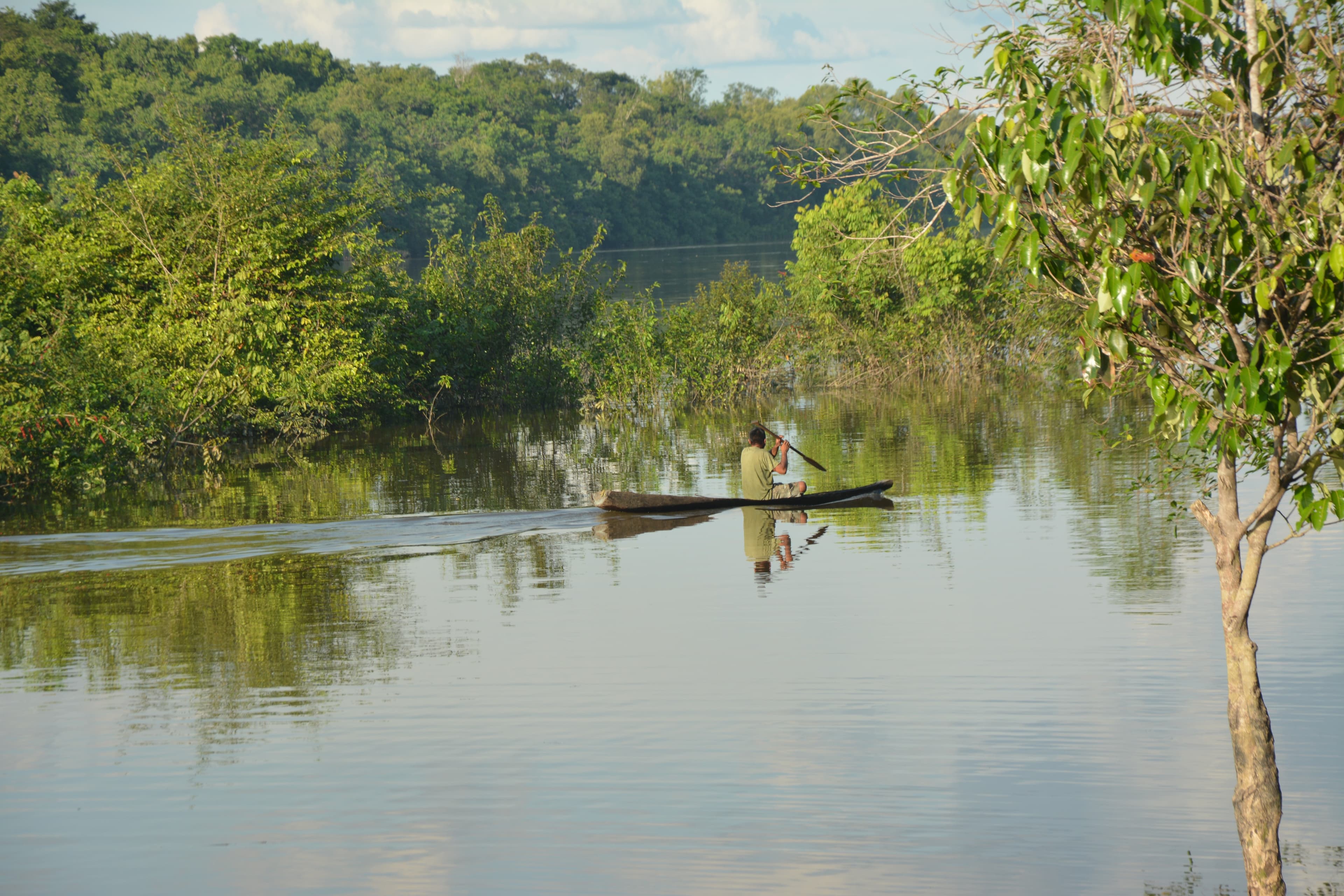 REDD+ projects we support around the world