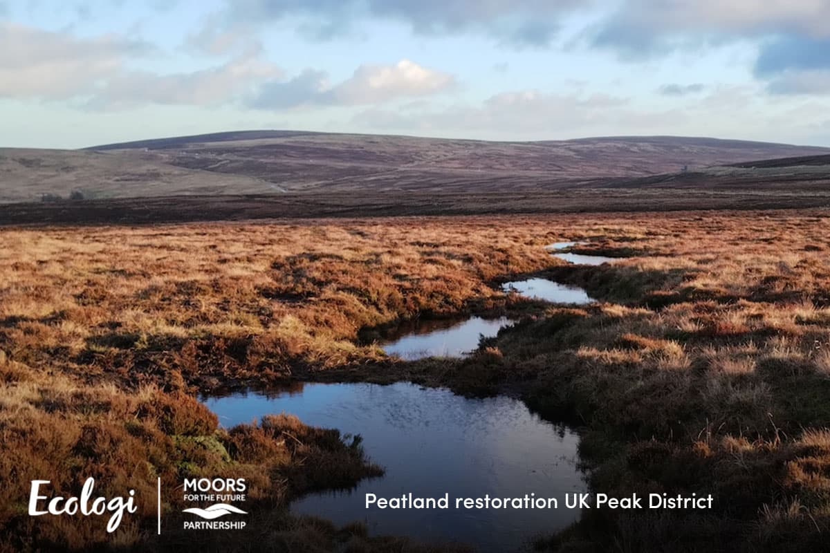 Peatland restoration in the UK