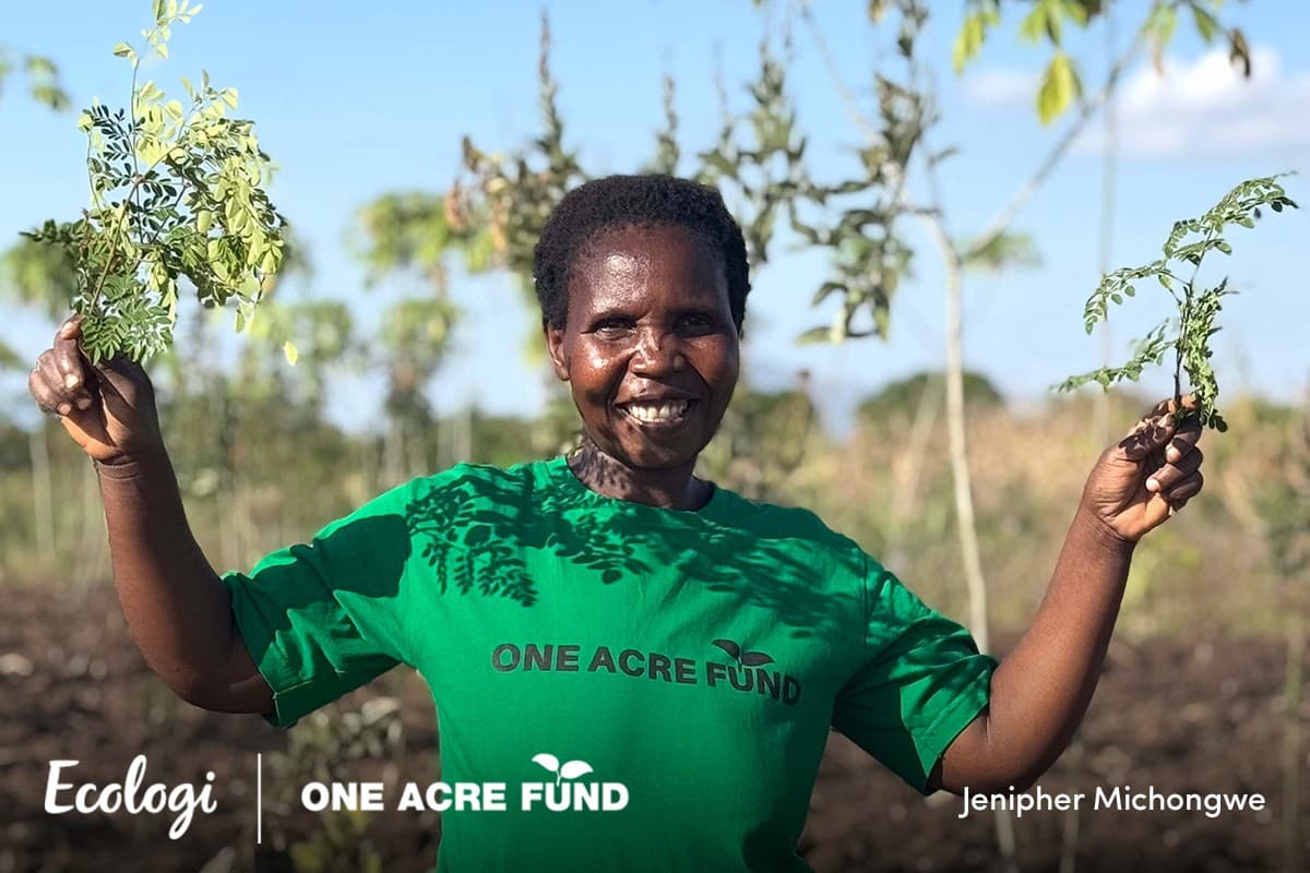 Supporting small-holder farmers in Malawi