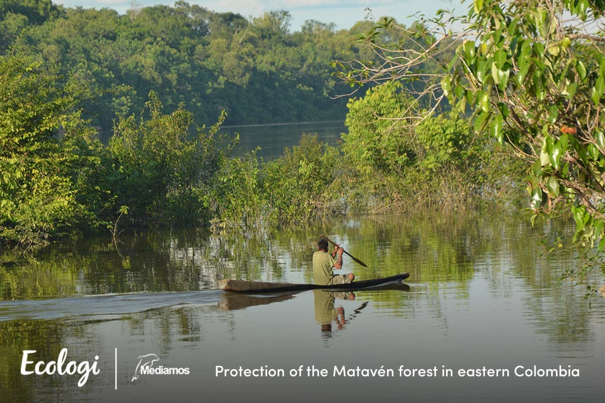 Protection of the Matavén forest in eastern Colombia