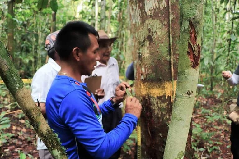 Protection of the Matavén forest in eastern Colombia