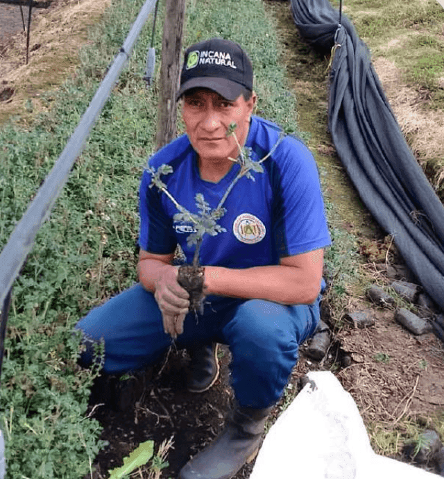 Reforesting over 150,000 native trees