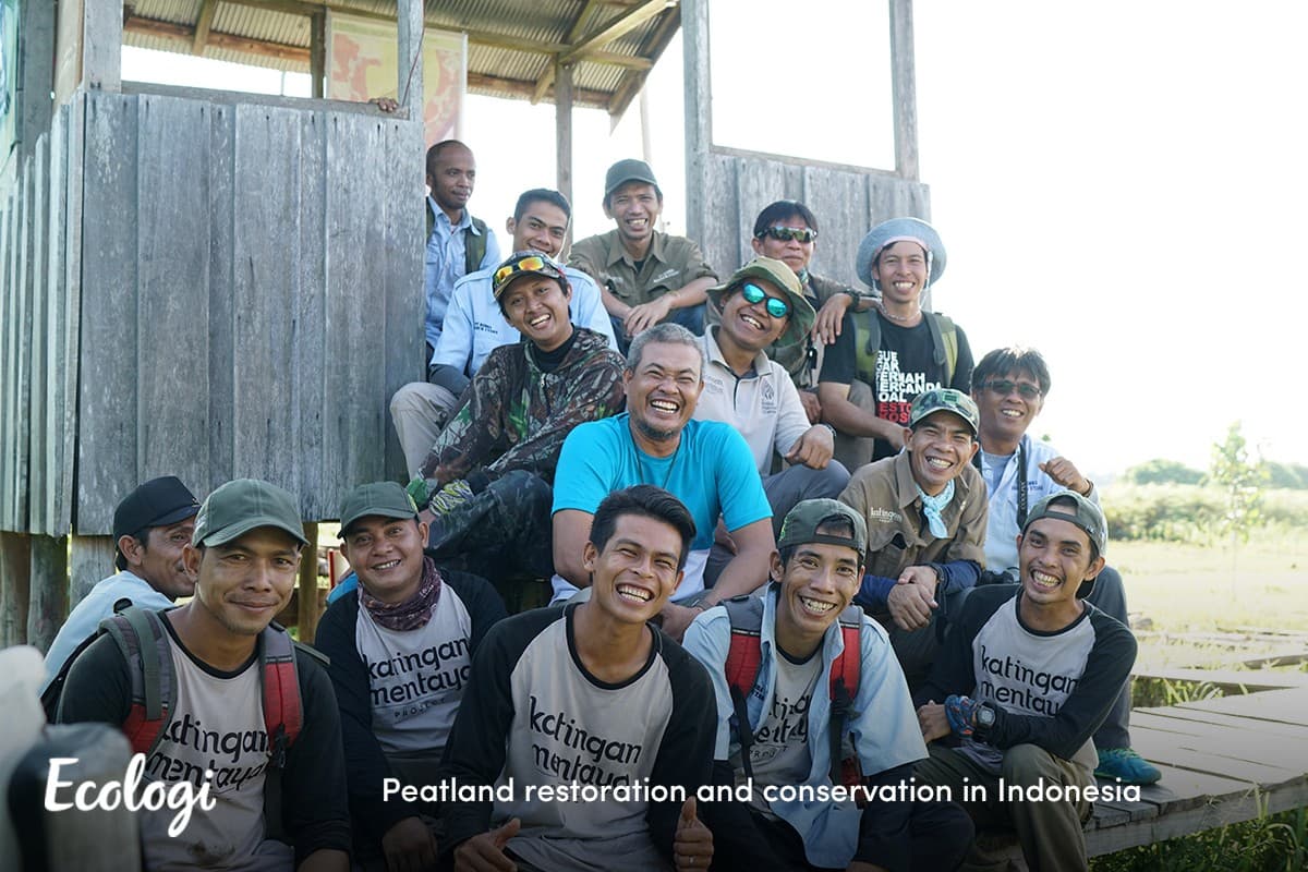 Peatland restoration and conservation in Indonesia
