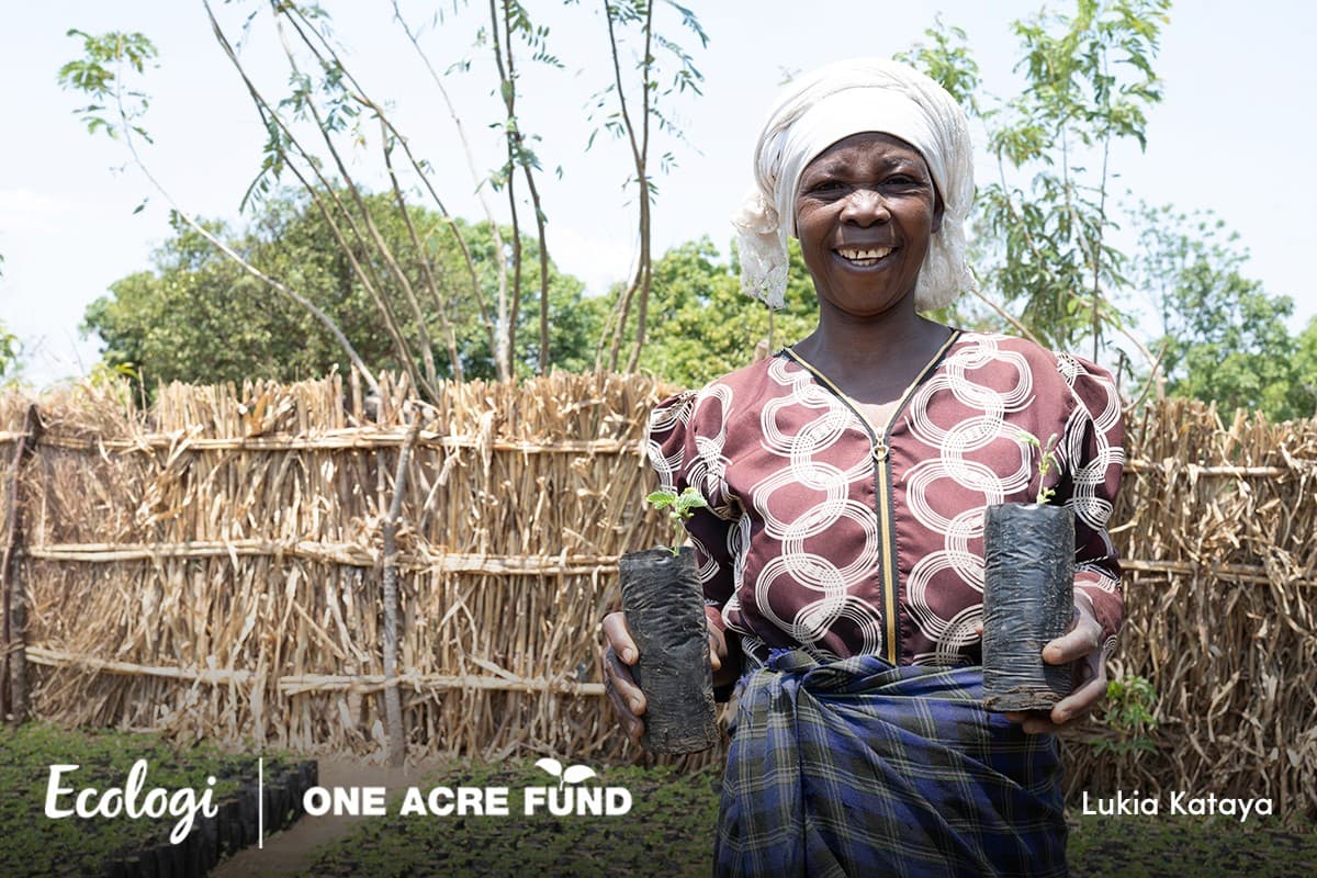 Supporting small-holder farmers in Malawi