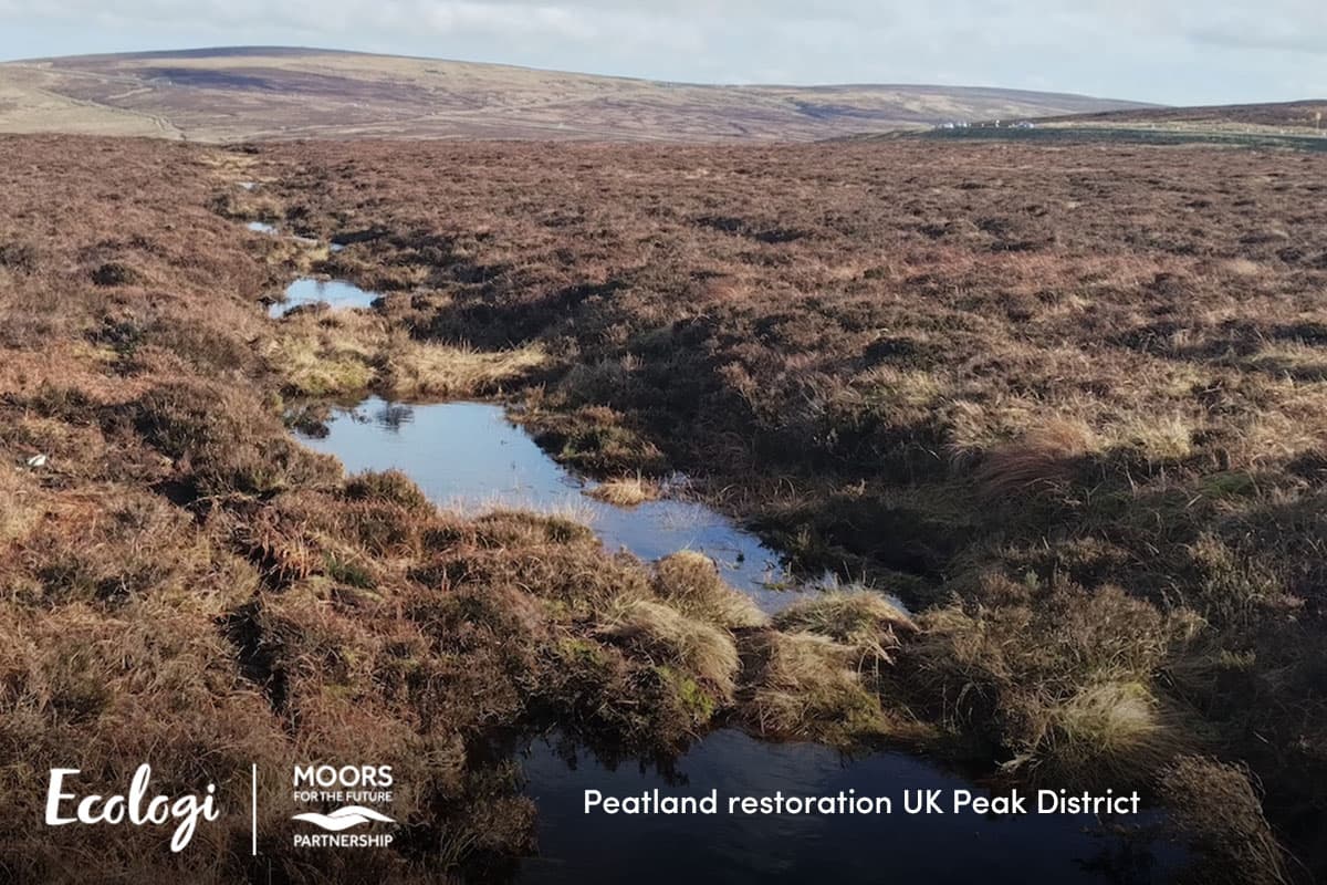 Peatland restoration in the UK