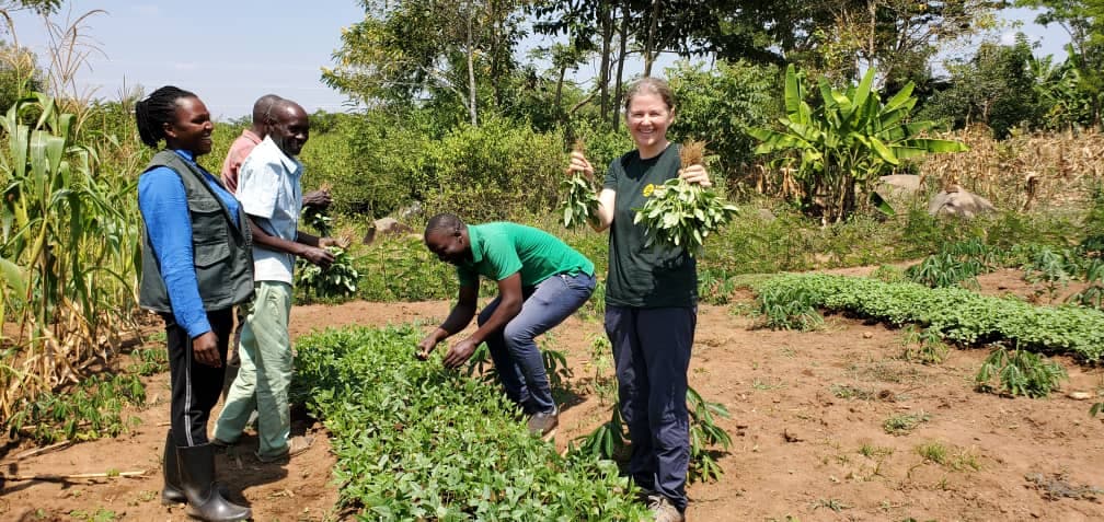 Planting forest gardens in Busoga, Uganda