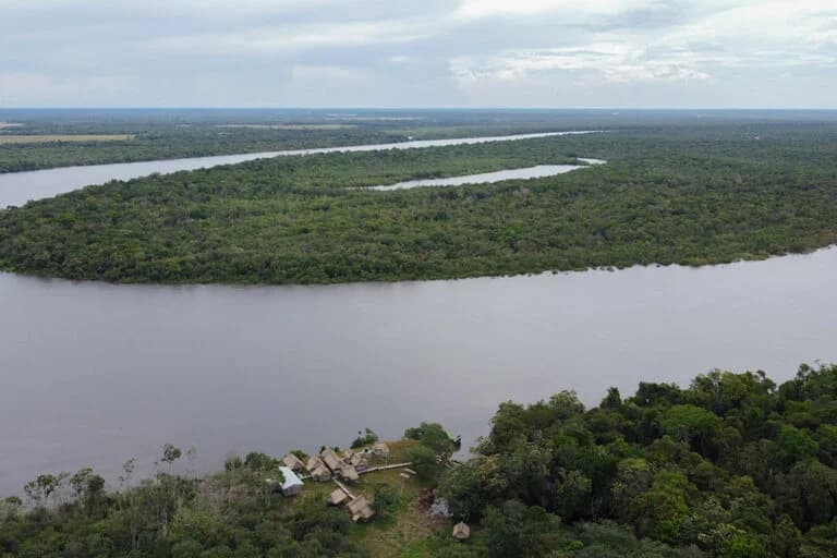 Protection of the Matavén forest in eastern Colombia