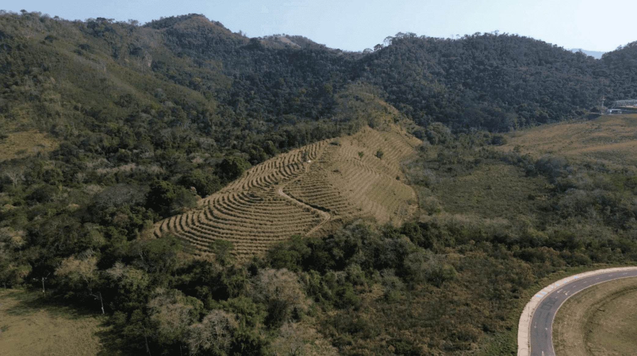 Restoring degraded land in Brazil