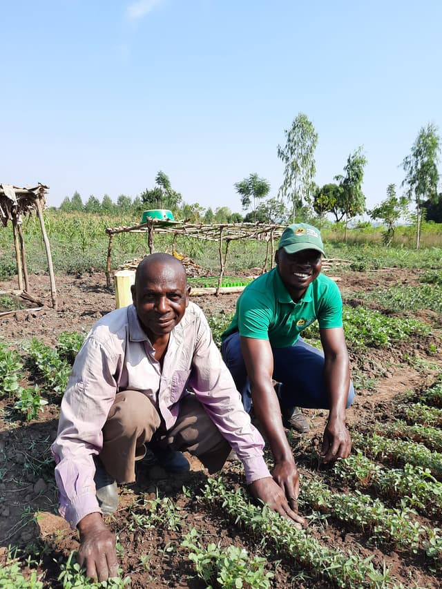 Nurseries established