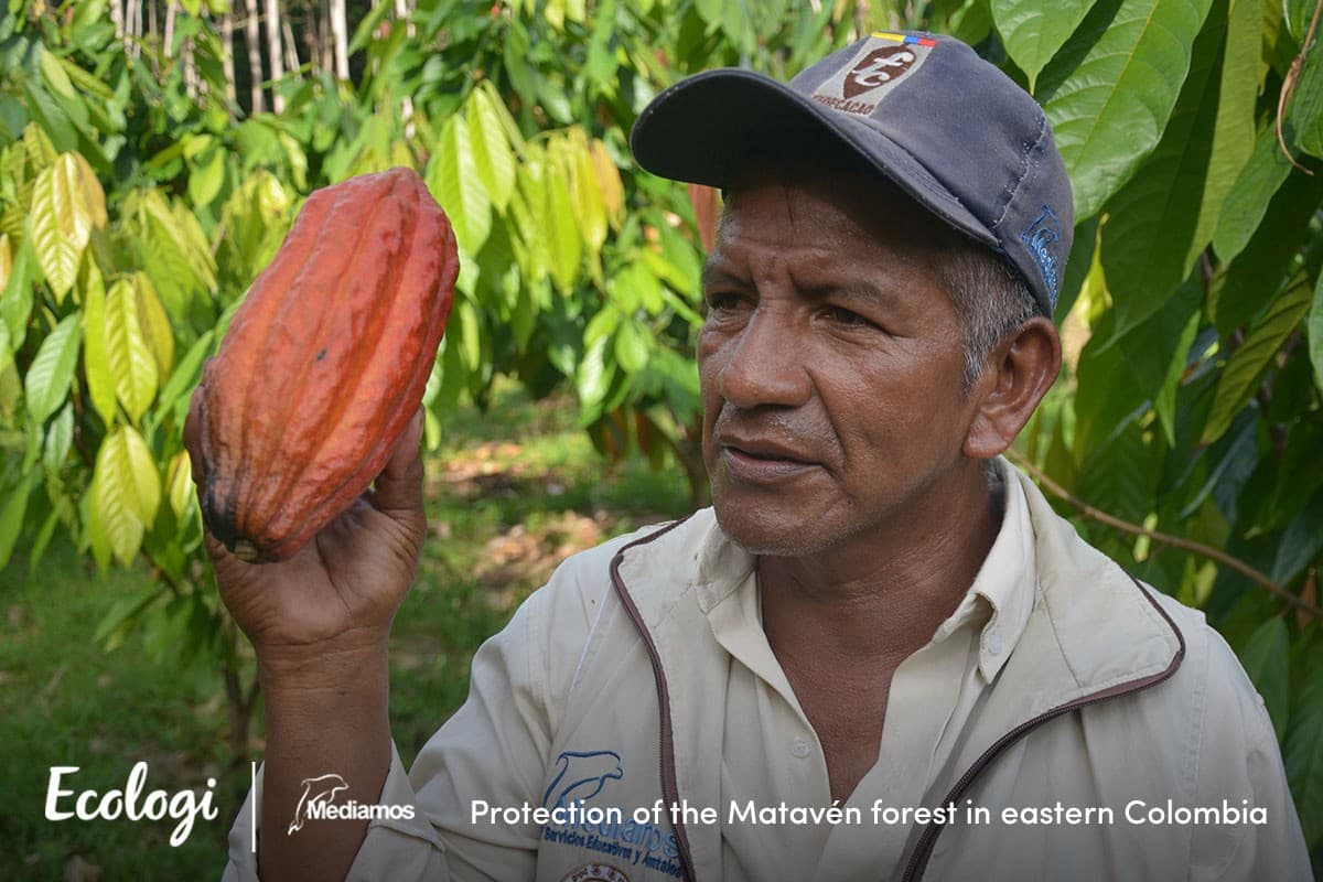 Protection of the Matavén forest in eastern Colombia