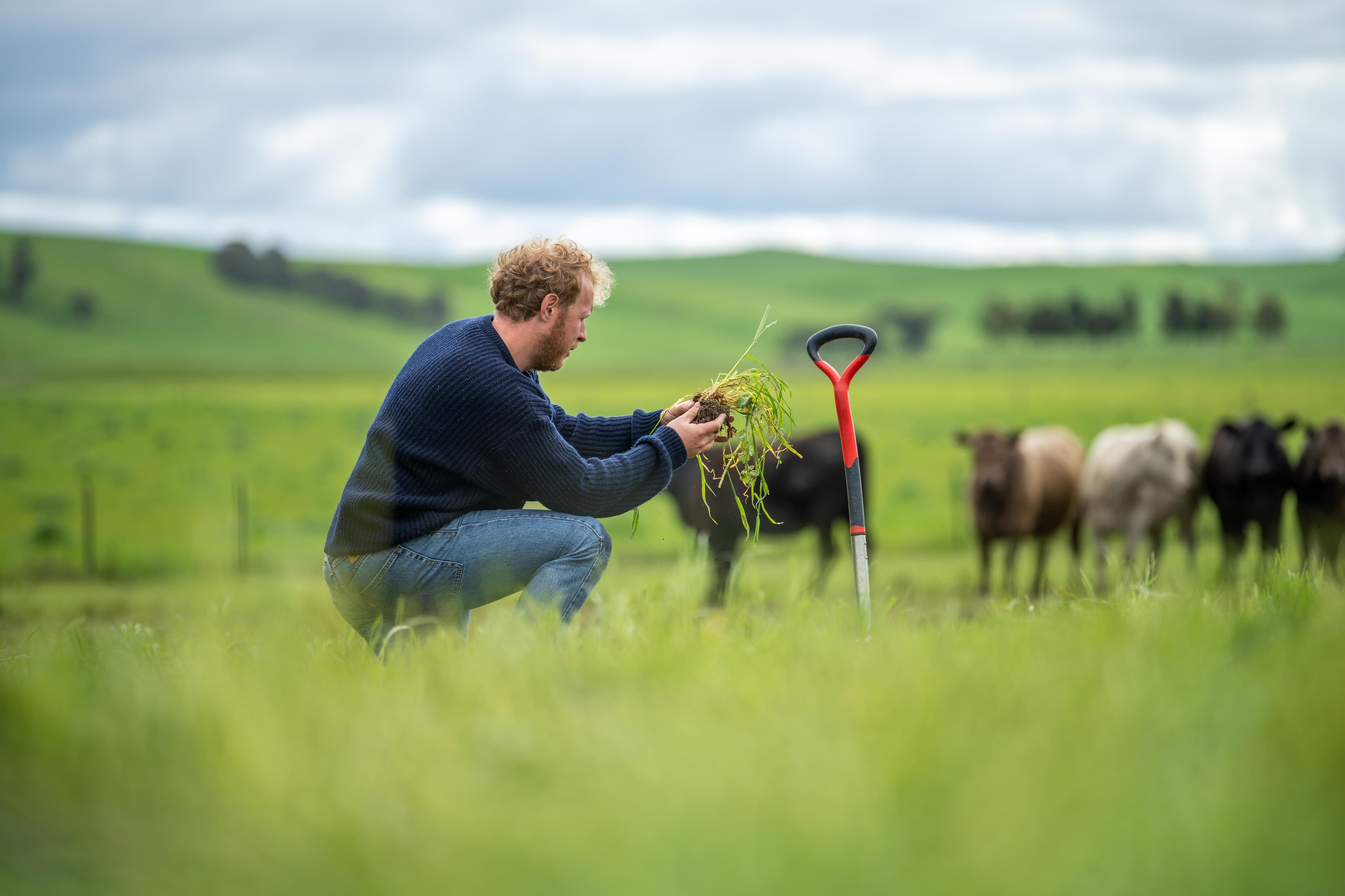 Regenerating agricultural land to remove carbon