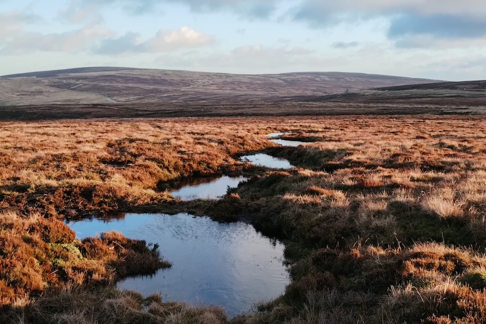 Restoring upland peatlands in the Peak District and South Pennine moors