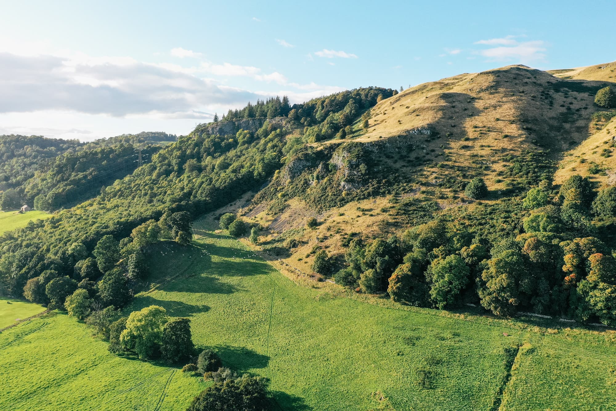 Restoring native forests at Dumyat, UK