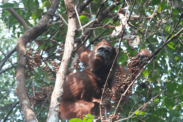 Biodiversity Spotlight