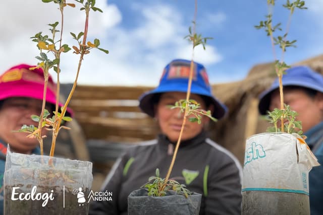 17,443 Trees Planted in One Day: A Community's Story