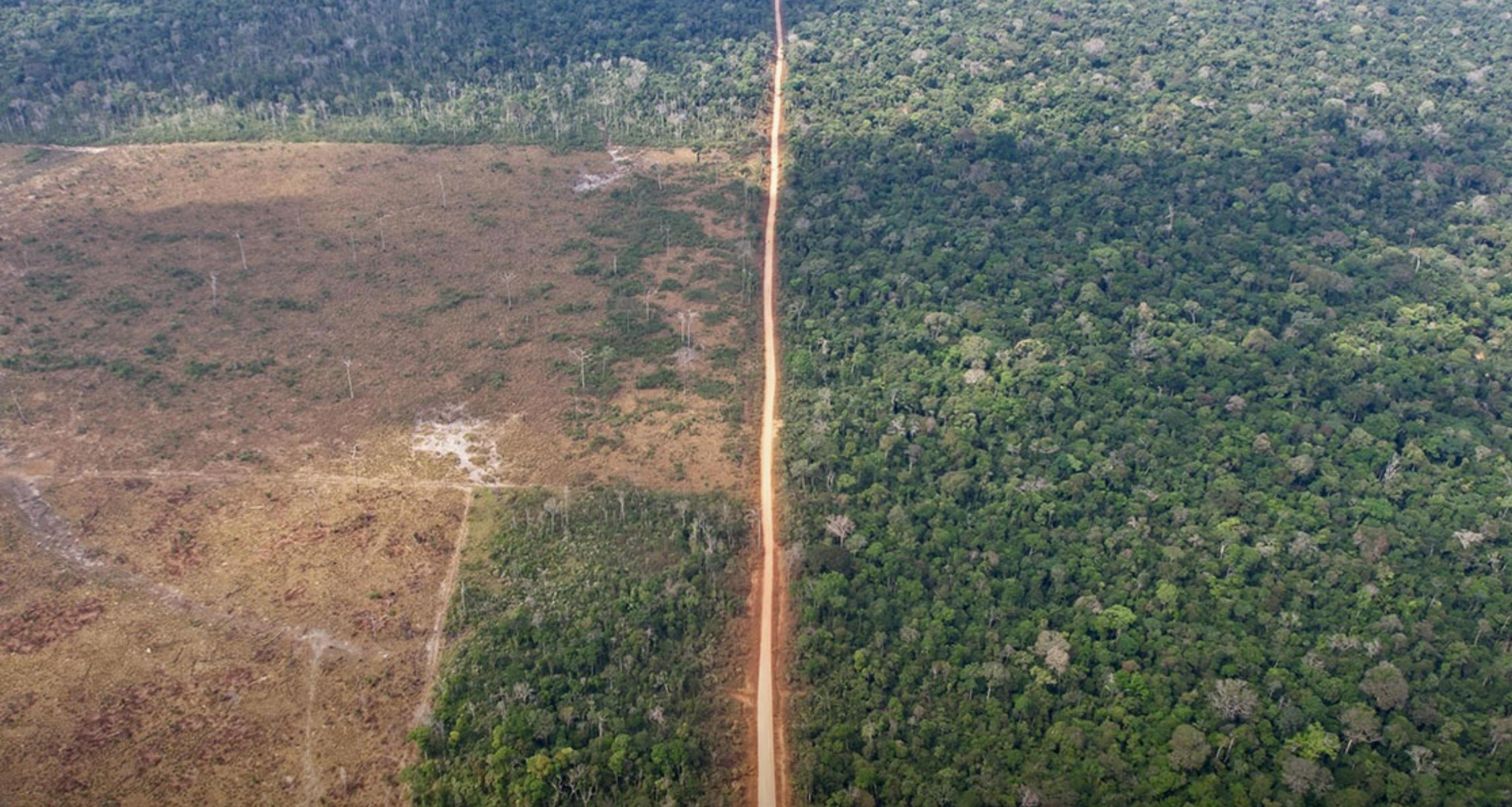 Example Premium Nature-Based Carbon avoidance (Manoa) project
