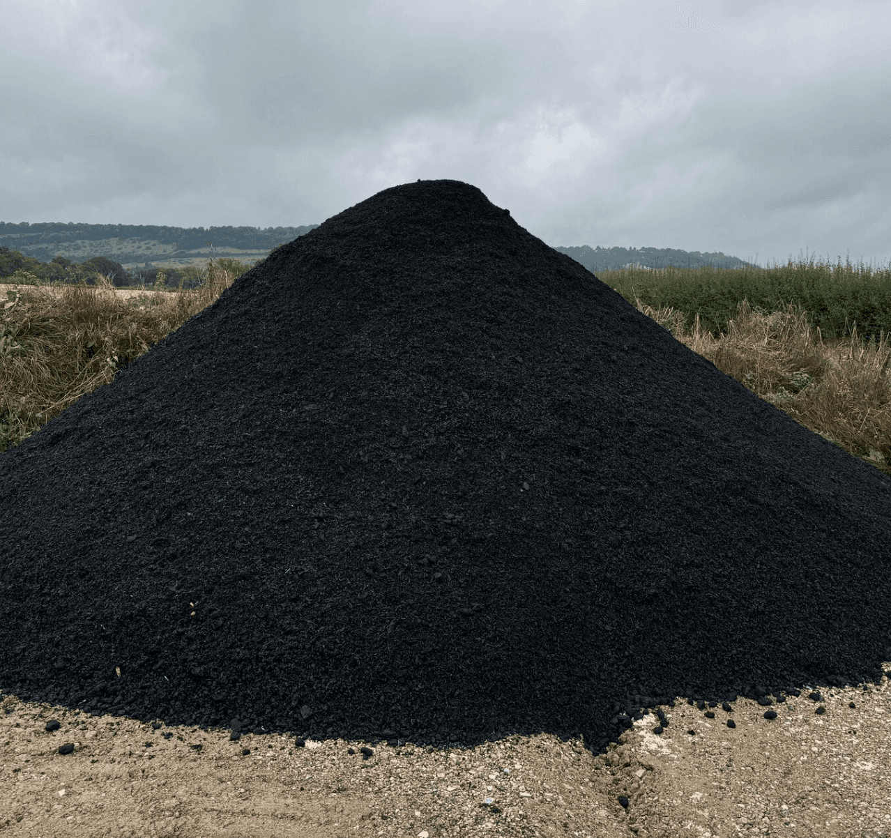 Example Producing biochar from waste biomass in Surrey, UK project
