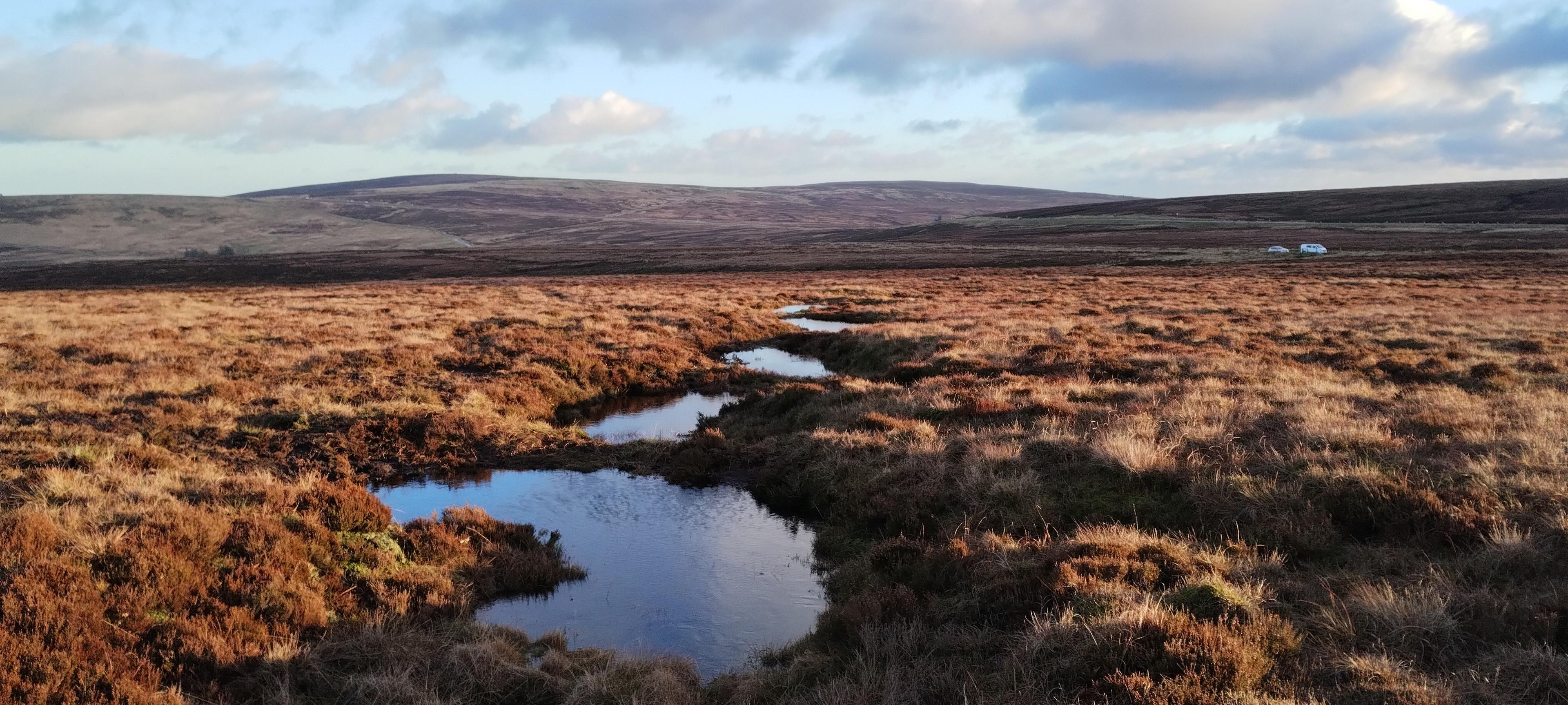 Example Peatland restoration in the UK project
