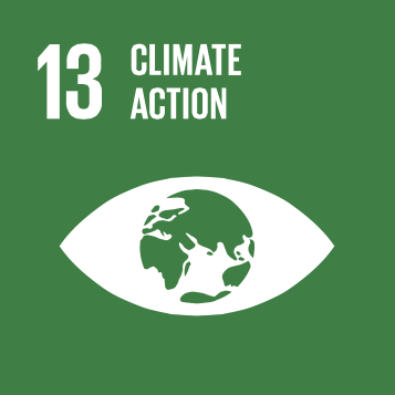 Sustainable Development Goal #13